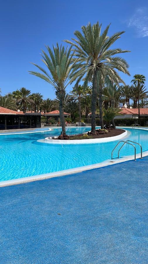 Sun Club P65 Premium Bungalow Maspalomas  Eksteriør billede