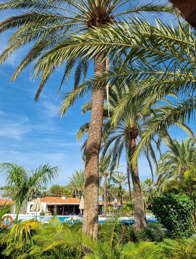 Sun Club P65 Premium Bungalow Maspalomas  Eksteriør billede