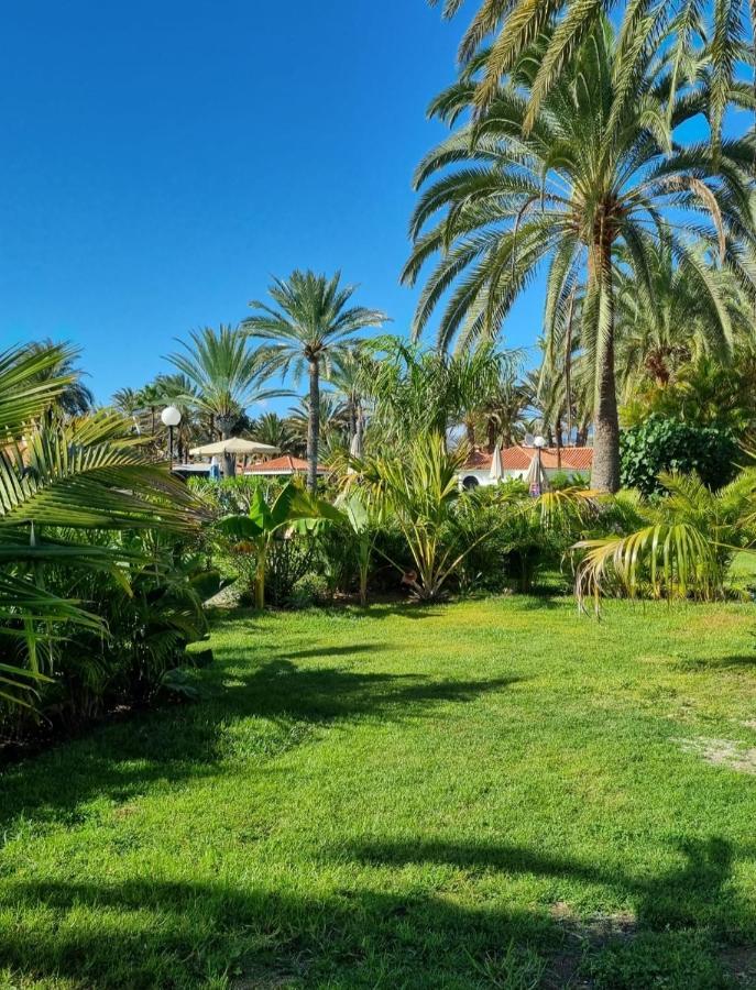 Sun Club P65 Premium Bungalow Maspalomas  Eksteriør billede