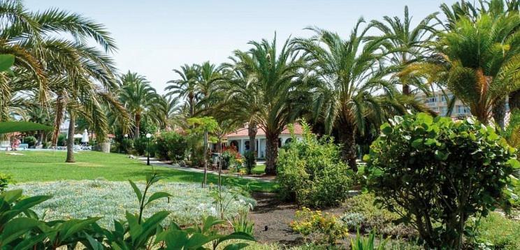 Sun Club P65 Premium Bungalow Maspalomas  Eksteriør billede