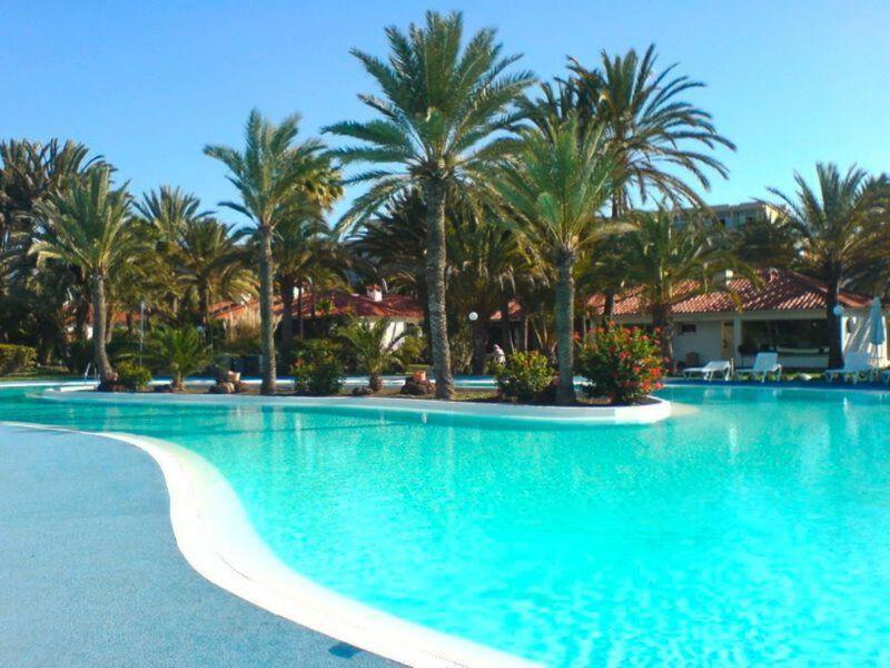 Sun Club P65 Premium Bungalow Maspalomas  Eksteriør billede