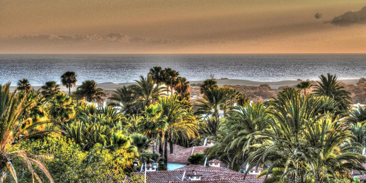 Sun Club P65 Premium Bungalow Maspalomas  Eksteriør billede