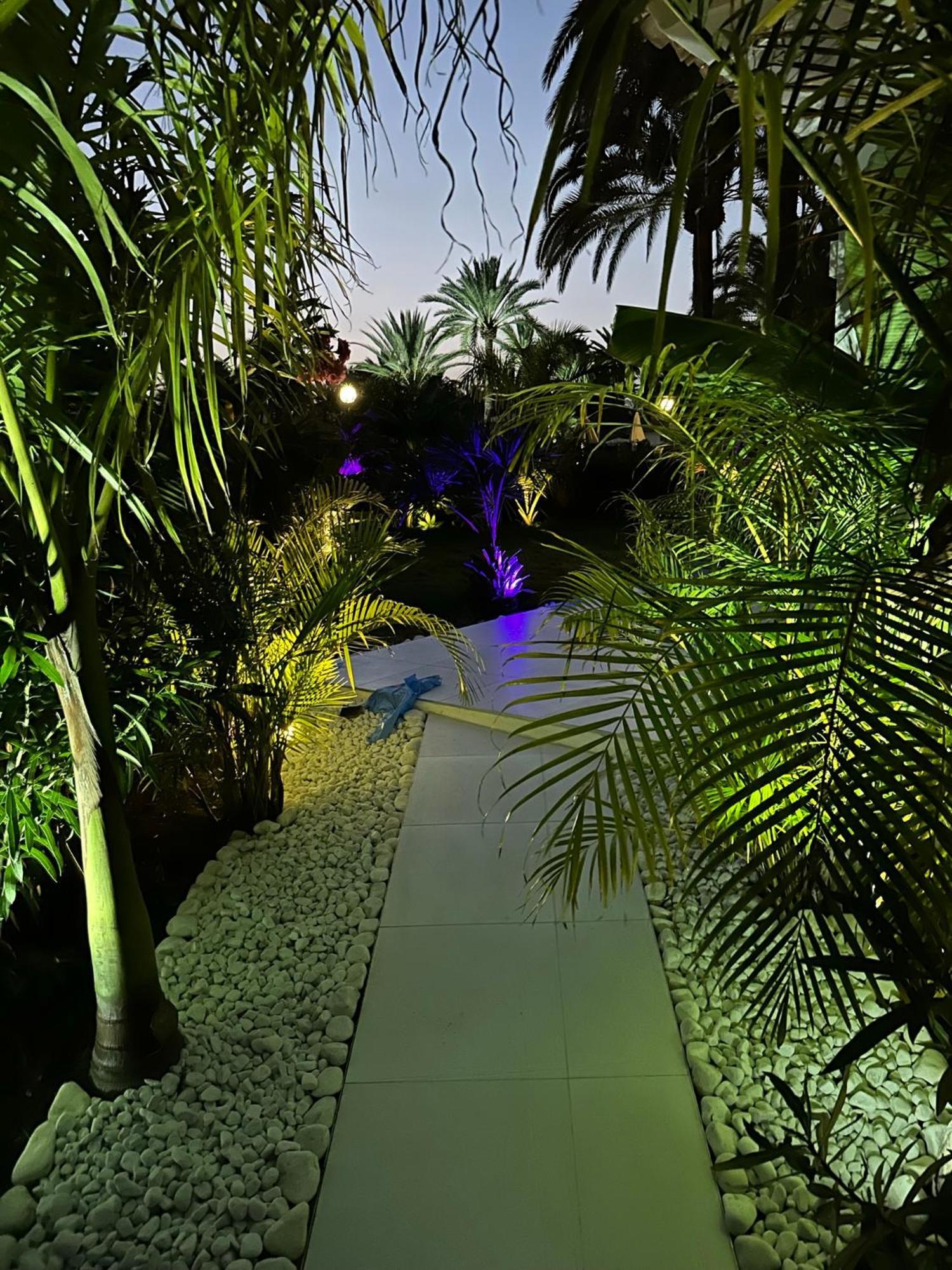 Sun Club P65 Premium Bungalow Maspalomas  Eksteriør billede