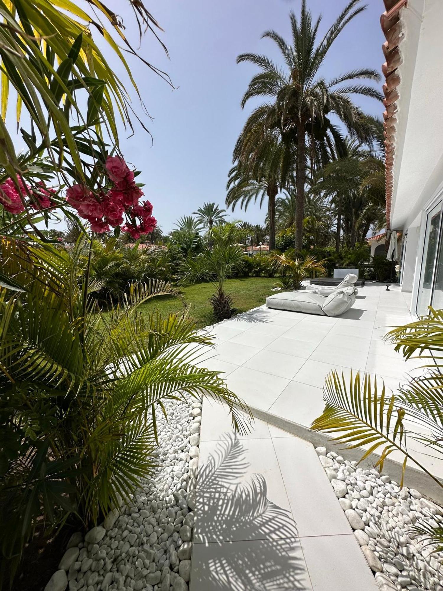 Sun Club P65 Premium Bungalow Maspalomas  Eksteriør billede